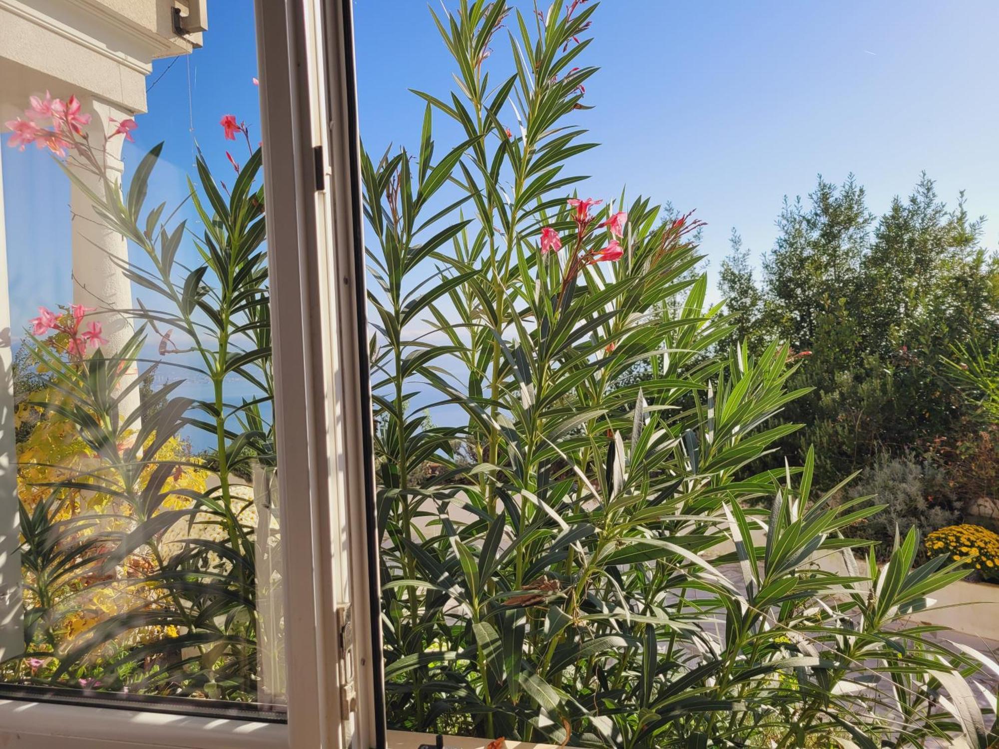 Apartman Chiara Mit Meerblick Und Pool Und Jacuzzi *